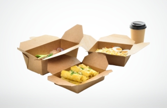 Food Carton & Trays